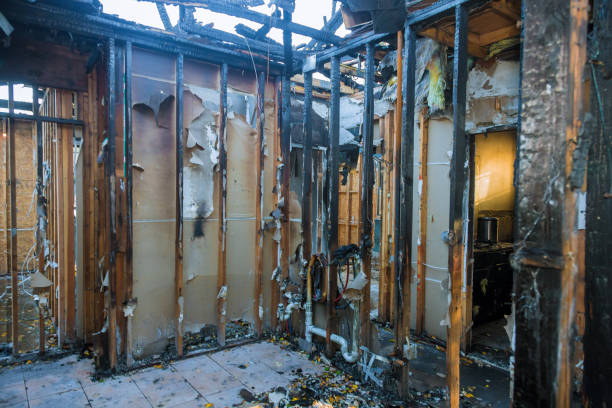 Professional Odor Removal technician working in Cimarron, KS